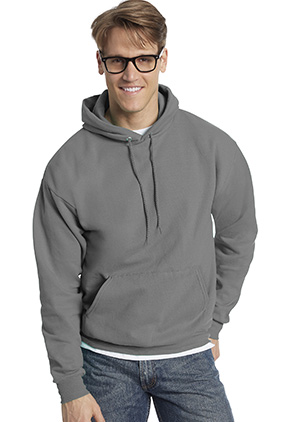 Hanes EcoSmart Hooded Sweatshirt P170 