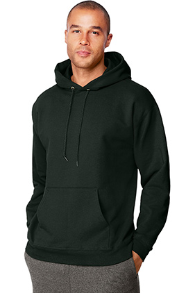 F170 Hanes Ultimate Cotton Pullover Hoodie